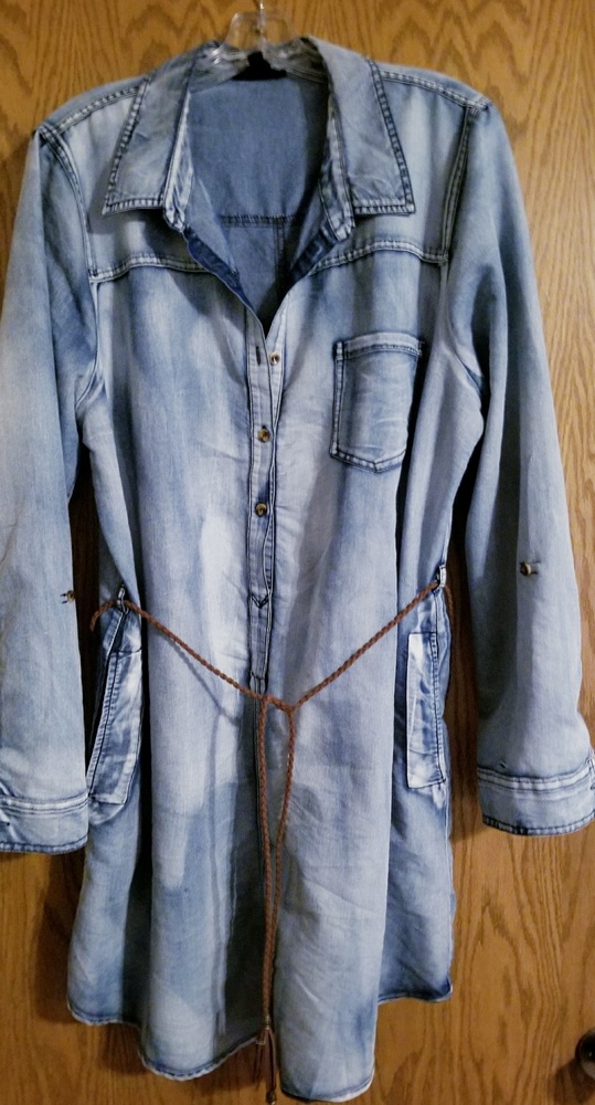 3x denim mini dress